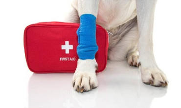 PROBLEMI ARTICOLARI: COME INTERVENIRE?